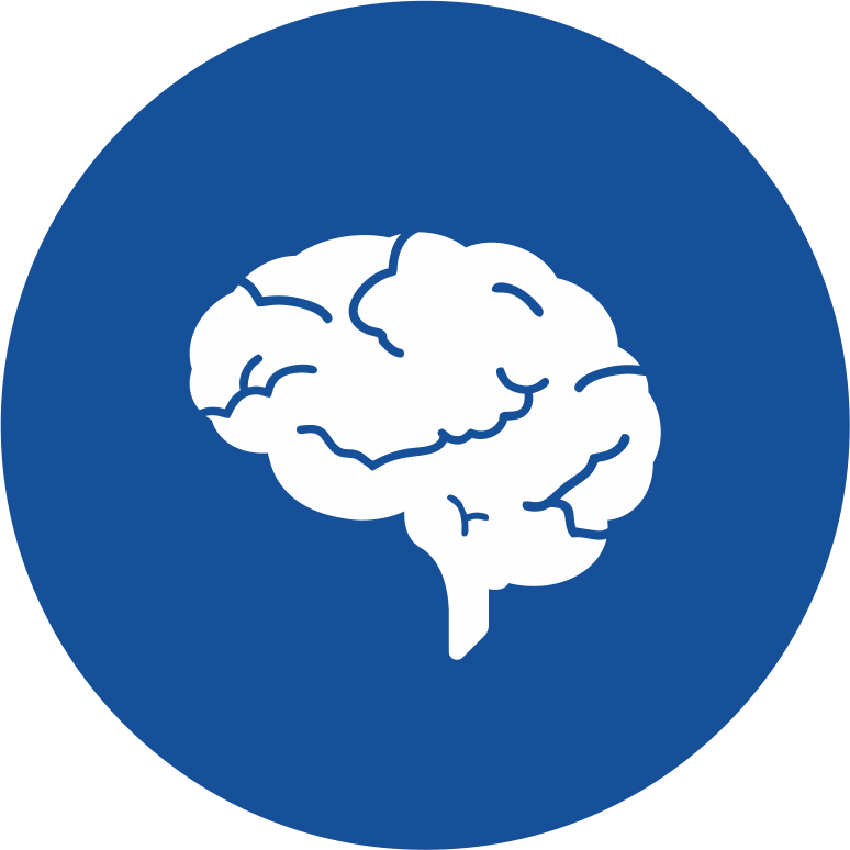 Support brain function